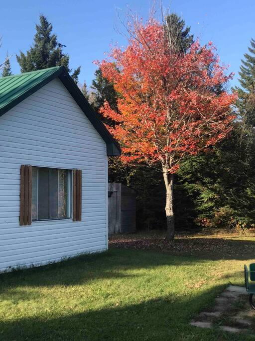 Le Jazz- Chalet Rustique/Chic Avec Spa Notre-Dame-Des-Bois Esterno foto