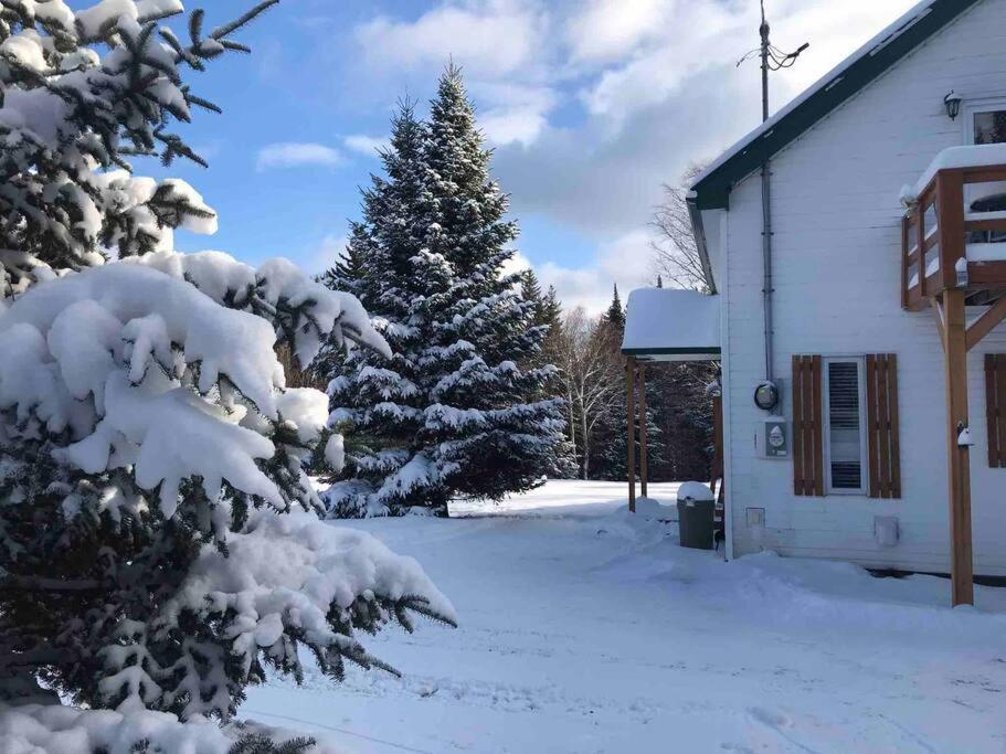 Le Jazz- Chalet Rustique/Chic Avec Spa Notre-Dame-Des-Bois Esterno foto