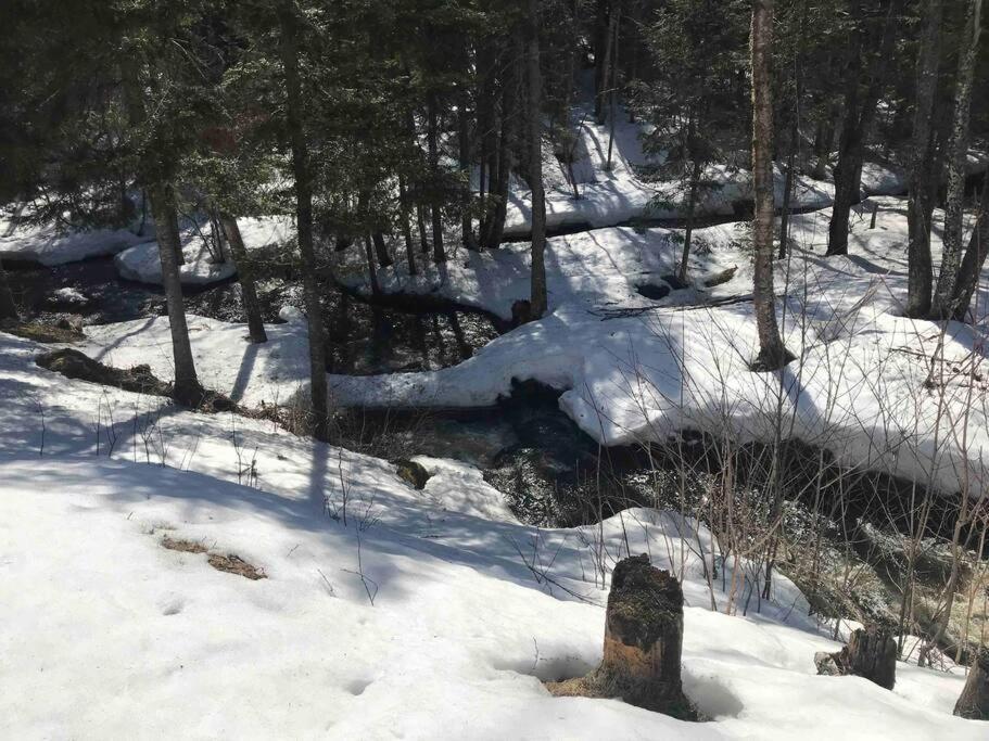 Le Jazz- Chalet Rustique/Chic Avec Spa Notre-Dame-Des-Bois Esterno foto