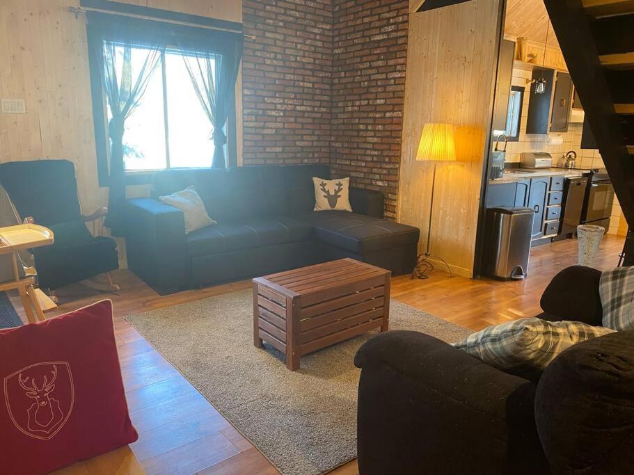 Le Jazz- Chalet Rustique/Chic Avec Spa Notre-Dame-Des-Bois Esterno foto